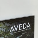 국일카센타 | 대전문화동미용실 하나룸에서 받은 염색·컷트 솔직 후기