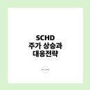 동하산업 | 2026년 SCHD 주가 상승 이유와 배당주 투자 전략