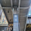 에이스메디 | [엄마랑 뉴욕] 하이라인, 베슬, 쉑쉑1호점, 스텀프타운, 탑오브더락 전망대