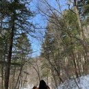 연원목장 이미지