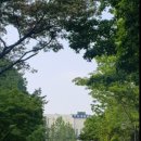 대전의 3.8 민주의거 둔지미공원 &마레트골프&갈마공원