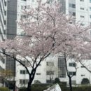 이몸이 만든빵 네이버블로그