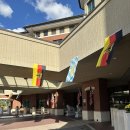 용산-25 | 용산부대. 25년 옥토버 페스트 후기. Oktoberfest..! 내년에도 무조건 가야지