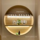 피부하라 | [구파발피부관리] 은평구 피부관리 스파하라 페이셜 수분테라피 후기 (feat. 은평구 신부관리추천)