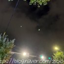 락스타 pc까페 | [2025]1020-1026