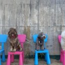 소중세천 이미지