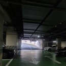 오동동105 | 마산 맛집 마산 돈까스 맛집 &#39;히도 오동동직영점&#39;