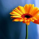 우창산업 이미지