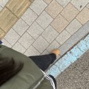 안유동교 네이버블로그