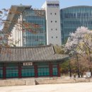 성균관대학교 - 502 | 성균관대학교