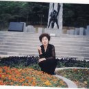 안영 이미지