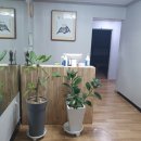 고흥금다연 네이버블로그