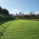 대박놀개 이미지