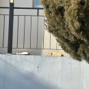 이마트24태안몽산포중앙점 | Feb, 2026