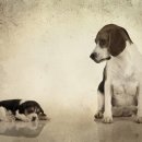 내강한의원 이미지