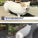 안녕하세요 이미지