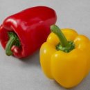 백천헬스 이미지