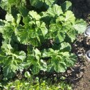 농장이야기 이미지