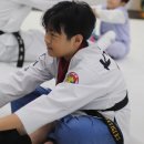 계룡태권도 | 엄사태권도 즐거움이 가득한 태권도 체험기