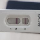 삼신13
