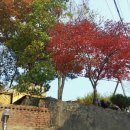 어울림펜션 이미지