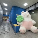 벌말로50번길 | 분당 야탑 데이트 하기 좋은 브런치 카페지지 솔직 후기