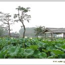 낭산다례원 이미지