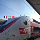 산들약국 | H-6. [유럽 신혼여행] 스위스 병원에서 70만원 결제하고🤒💸 그린델발트 구경하러 가기🚞