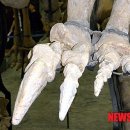 엑스포도서관 이미지