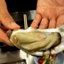 2024 천북 굴축제 이미지