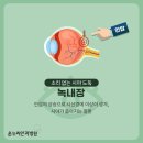 온누리안과병원 이미지
