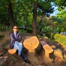 연세대학교 보건대학원 이미지