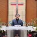 솔로몬목장 이미지