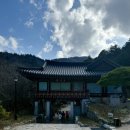보천전기 | 익숙해져 알 것만 같은 디뎌 다진 뜬구름을 뒤로하고 달을 거뒀던 새날의 평창이 밝았다.