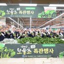 남해-300 이미지