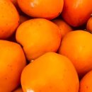 송림농장 이미지