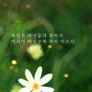 마시면 마실수록 이미지