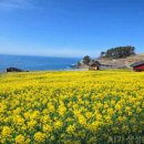 바다와노을 이미지