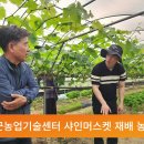 고령군, 샤인머스켓 고품질화 위한 전문 교육 실시 이미지