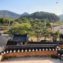 이순신 유숙지 이미지