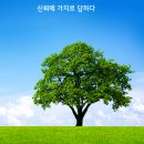 지제역김프로공인중개사사무소 | 고덕신도시 상가주택 투자