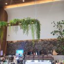 히스피커피 사상점 이미지