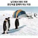 남극에서 잘 때 문단속 잘해야 하는 이유 이미지