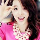 설리헤어