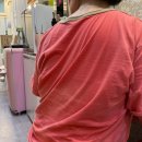 찜질카페다욧 | 천왕역 푸른수목원 찜질코스 힐링카페 따숨 해독다이어트