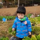 윤재농장 이미지