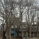 남동112 | 인천 남동구 - 기차왕국박물관카페 아기랑 가볼만한곳 내돈내산 후기 (인천대공원어린이동물원까지...