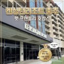 CU충주신용산점 | 켄싱턴 리조트 충주, 반려견과 함께한 프라이빗 로열스위트 펫룸 1박 솔직 후기☝️