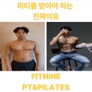 나인핏 피티 이미지
