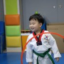 신제일 태권도 이미지